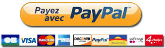 payez avec paypal bouton